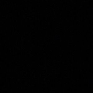 Meet your Posher, Niyana